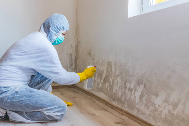 Licensed Crawl Space Mold Removal service in Alden, MI - WQB Mold Removal