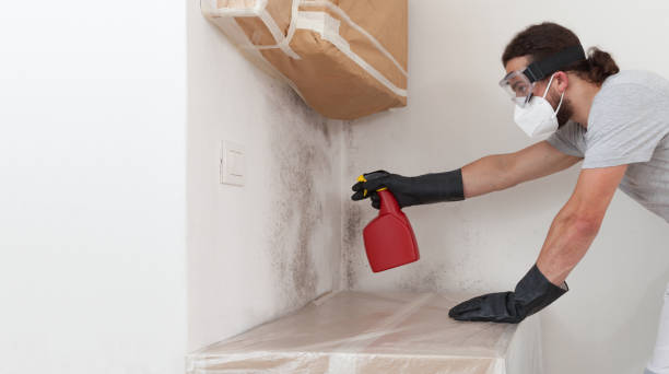 Professional Crawl Space Mold Removal technician working in Alden, MI