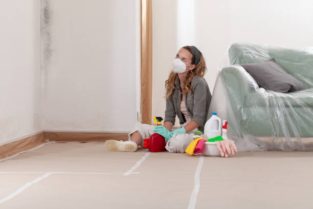 Reliable Crawl Space Mold Removal contractor in Alden, MI by WQB Mold Removal